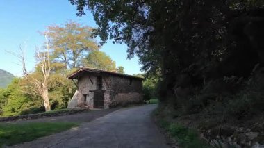 İspanya, Olot yakınlarındaki La Fageda d 'en Jorda' nın sakin manzarasının ortasında taş su değirmenleri duruyor.