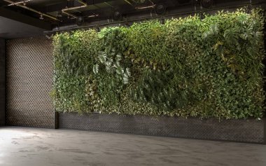 Modern iç tasarımda dikey Yeşil Duvar, 3D görüntüleme