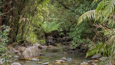 Dağlardaki güzel nehir