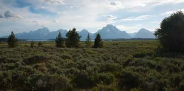 Grand Teton Ulusal Parkı Panoraması