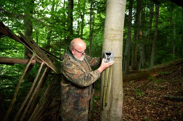 Hunter sets a trail camera on a tree in the forest. Trail cameras are often used by hunters for automatic photography or video shooting of wildlife in the forest.