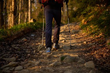 Yürüyüşçünün ormanda yürüyüşünün ve sabahın erken saatlerinde dağlarda güneşin doğuşunun tadını çıkarışının görüntüsü. Ayakların görüntüsünü kapat..