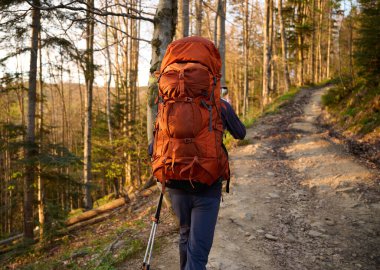Tam teçhizatlı yürüyüşçü dağlarda güneşin erken doğuşunun tadını çıkarıyor. Bahar ormanında yürüyüş yapan sırt çantalı bir yürüyüşçü. Yürüyüş konsepti. Sırt çantalı bir gezgin ormanda yürüyor. Arkadan bak..