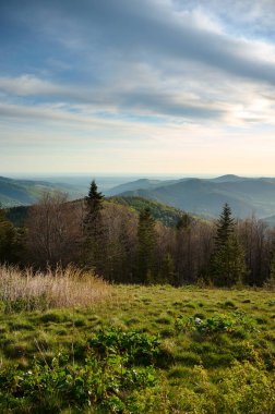 Dağlardaki harika bahar manzarası. Taze yeşil çayırları olan dağlık bir kırsal alan. Bir bahar sabahı dağlarda kozalaklı ve yaprak döken ormanlar..