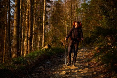 Tam teçhizatlı yürüyüşçü sabahın erken saatlerinde dağlarda güneşin doğuşunu seyrediyor. Bahar ormanında yürüyüş yapan sırt çantalı bir yürüyüşçü. Yürüyüş konsepti. Sırt çantalı genç bir gezgin ormanda yürüyor..