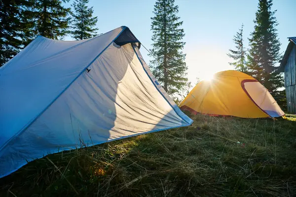 Gün doğumunda ormanın ortasındaki çadır çadırlarında çam ağaçlarının arasından süzülen güneş ışığı. Kuru otlar ve sabah ışığı ile huzurlu bir açık hava sahnesi.