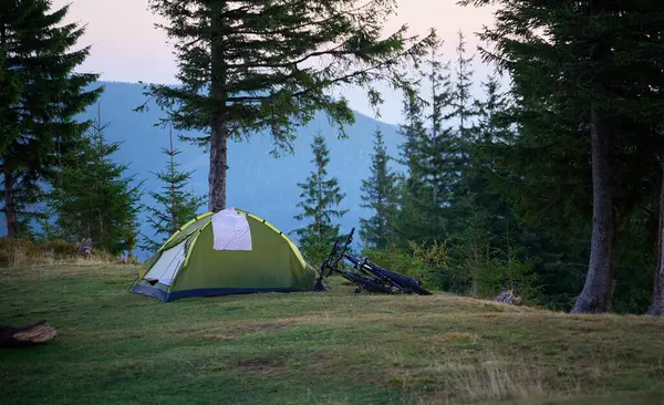 Yeşil kamp çadırı ve ormandaki çimenli bir tepede iki bisiklet, arka planda çam ağaçları ve dağ manzaralı sakin bir akşam boyunca.