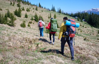 Dağ yolunda yürüyen tecrübeli yürüyüşçüler. Dağlara tırmanma teçhizatı ile donatılmış bir grup arkadaş. Karlı dağların manzarası.