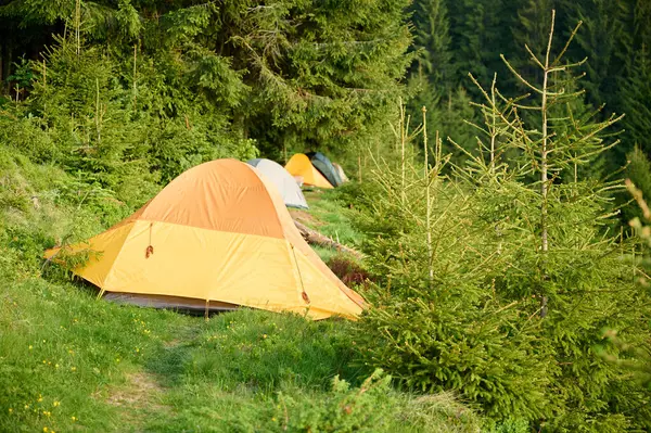 Dağlarda çadır. Kamp konsepti. Tatil, açık hava aktiviteleri ve yaz tatili gezisi için mükemmel..