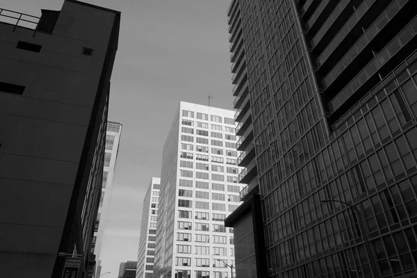 Moderní Kancelářská Budova Městě — Stock fotografie