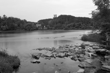 Güzel göl manzarası ve ormandaki ağaçlar. 