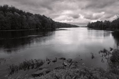 Norveç dağlarındaki bir ormanın siyah beyaz fotoğrafı.