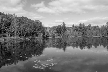 Gölden güzel bir manzara.