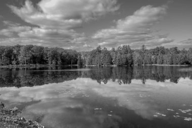 Göl ve ormanlı güzel bir manzara.