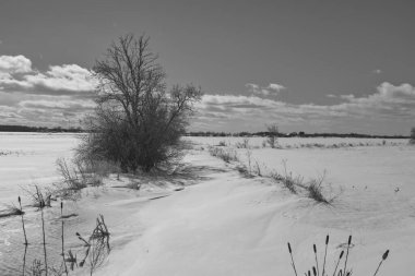 Karlı kış manzarası