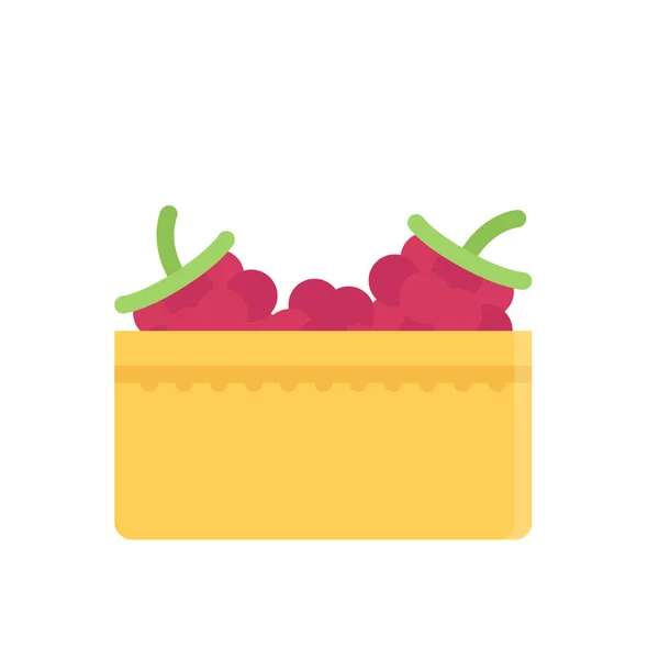 Design Vector Image Icons Raspberries — Stock Vector