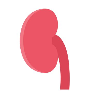 tasarım vektör simgeleri böbreği