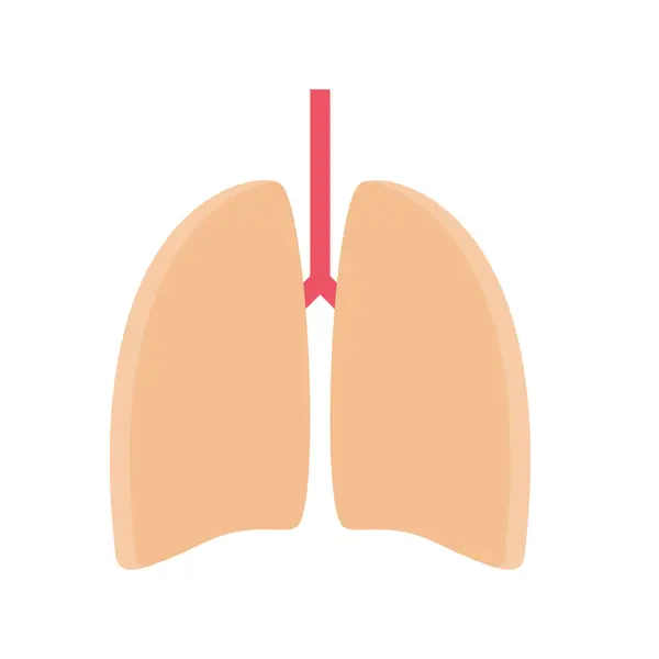 Design Vektor Bild Symbole Lungen — Stockvektor