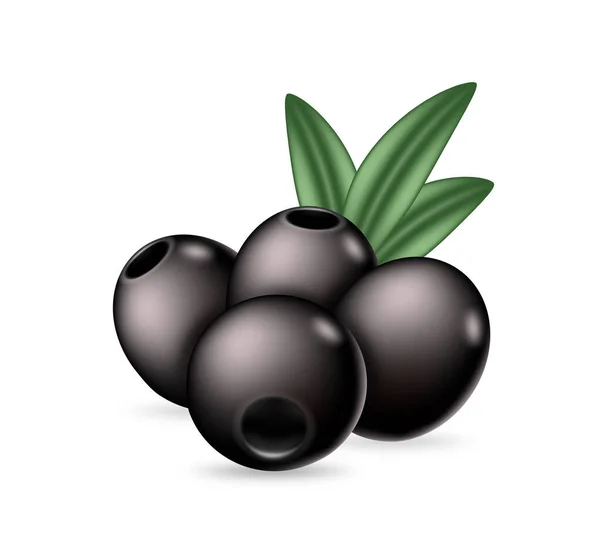 Sabrosas Aceitunas Negras Con Hojas Sabrosas Aceitunas Sin Hueso Ingredientes — Vector de stock