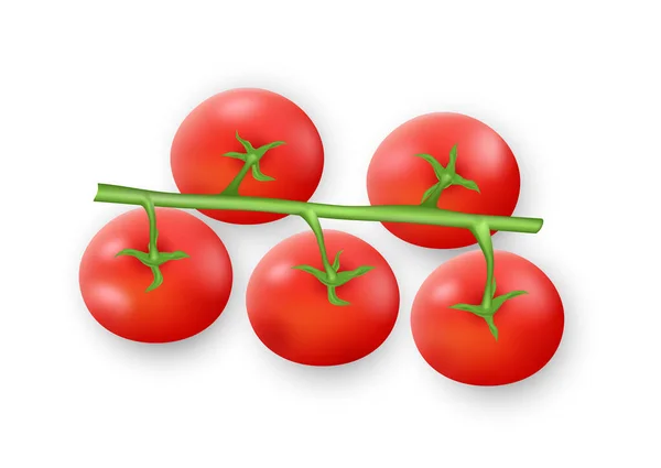 Realistická Rajčatová Ratolest Zralá Červená Cherry Rajčata Zeleném Stonku Izolovaná — Stockový vektor