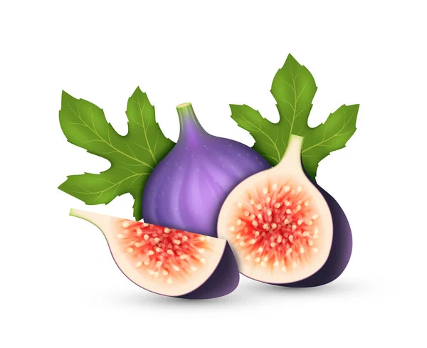 Realistic Figs Fresh Ripe Delicious Juicy Fruit Whole Cut Half — Stock Vector