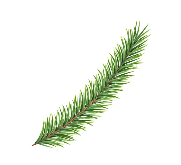 Κλαδί Ελάτης Απομονωμένο Λευκό Φόντο Πράσινο Έλατο Ρεαλιστικό Χριστουγεννιάτικο Δέντρο — Διανυσματικό Αρχείο