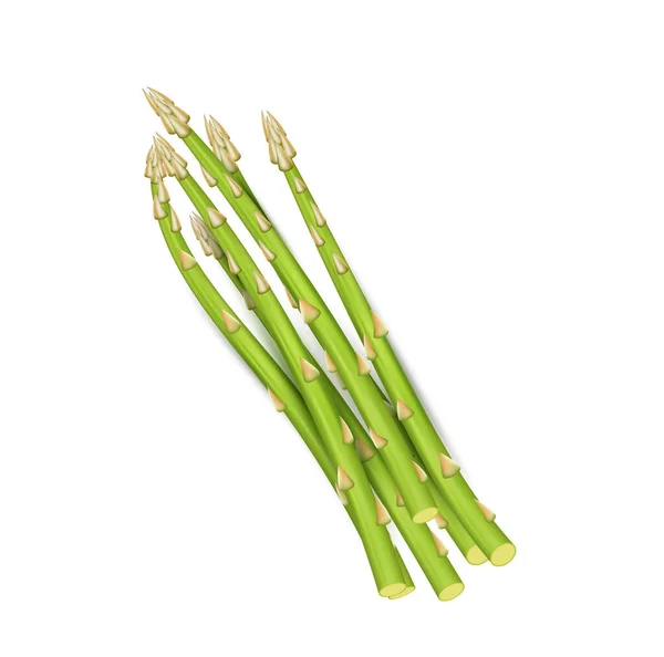 現実的なアスパラガス野菜の茎の芽束は白い背景に隔離されています 季節の農業食事エコ製品 調理や栄養のためのビーガンタンパク質成分 ベクターイラスト — ストックベクタ