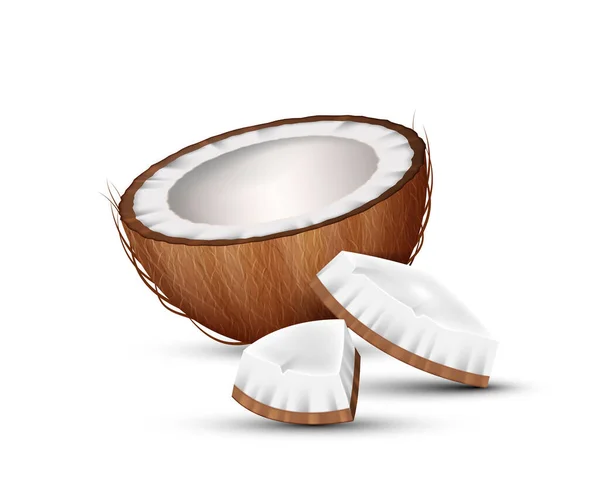 Kokosnöt Realistisk Hälften Och Knäckt Bruten Koko Isolerad Vit Bakgrund — Stock vektor