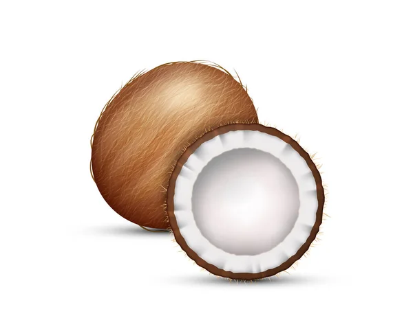 Realistyczne Kokosy Całe Połówki Świeżych Egzotycznych Produktów Biały Kokos Odizolowany — Wektor stockowy