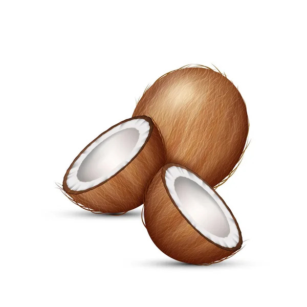 ココナッツの新鮮な熱帯ナッツ 全体と菜食主義者の自然な熟したココナッツ おいしいビタミンの栄養の半分 ヤシのテンプレートからミルキーココア 現実的な3Dベクトル図 — ストックベクタ