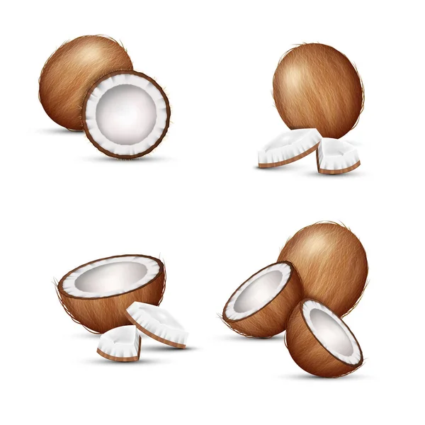 Uppsättning Kokosnötter Realistiska Hela Koko Halvor Och Spruckna Bitar Färsk — Stock vektor