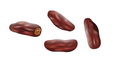 Meyveleri salkım salkım dizili muz ağaçları gibidir. Vejetaryen ve vejetaryen beslenme için sağlıklı kurutulmuş tatlı. Lezzetli atıştırmalıklar için egzotik Akdeniz meyveleri. Gerçekçi vektör illüstrasyonu