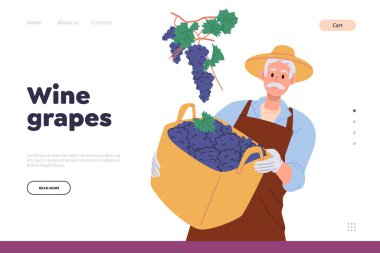 Şarap üzümleri iniş sayfası şablonu mutlu erkek çiftçi sepette olgun meyve tutuyor ve çiftlik vektörü çiziminde hasat ediyor. Şarap endüstrisi ya da küçük üzüm bağı tarım işletmeleri için web sitesi