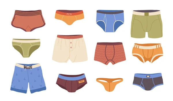 Types Of Women's Panties. Front And Behind View. Set Of Underwear - Slip,  High Waist, String, Thong, Tanga, Bikini, Cheeky, Hipster, Boyshorts.  Vector Illustration Royalty Free SVG, Cliparts, Vectors, and Stock  Illustration.
