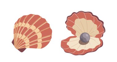 Kapalı ve açık deniz tarağı kabuğu, beyaz arka planda izole edilmiş pahalı siyah inci vektör çizimi. Okyanus hayvanları, su altı hazineleri, deniz kabuğu tasarımı elementleri.