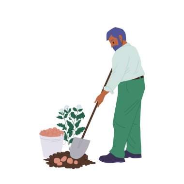 Çiftlikteki çiğ patatesi kazan çiftçi çizgi film karakteri beyaz arka planda izole edilmiş. Cips üretim endüstrisi. Tarım hasadı, üretim süreci aşama vektör çizimi