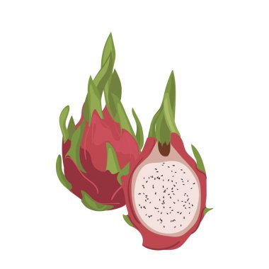 Beyaz arka planda tam ve yarım taze tropikal pitaya ejder vektör çizimi. Egzotik pitahaya vejetaryen besin, sağlıklı organik yiyecekler, lezzetli tatlı.