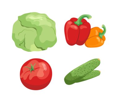 Salata pişirme seti için taze sebzeler sulu domates, lahana, salatalık ve beyaz arka planda izole edilmiş biber. Doğal organik tarım ürünleri vektör illüstrasyonu