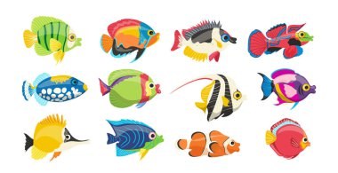 Beyaz arka planda izole edilmiş küçük, tatlı, tuzlu su balığı karikatür deniz hayvanları karakterleri. Süslü okyanus sualtı yerleşimci vektör çizimi. Yeraltı dünyası renkli hayvan koleksiyonu