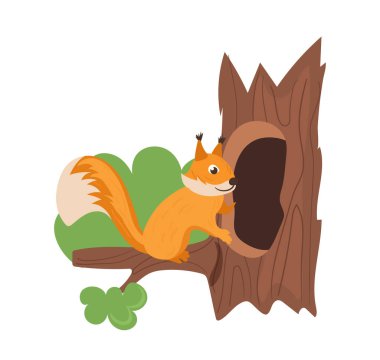 Şirin kırmızı tüylü sincap çizgi film karakteri. Beyaz ağaçta yalnız başına, içi boş bir evde yaşayan vahşi hayvan karakteri. Küçük tüylü kemirgen. Yakındaki delik vektör illüstrasyonunda güzel bir burnu var.