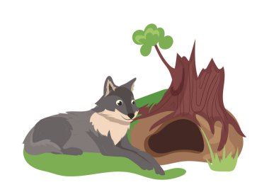 Beyaz arka planda izole edilmiş oyuk vektör illüstrasyonunda yaşayan sevimli gri kurt çizgi filmi vahşi orman hayvanı karakteri. Dost canlısı ağızlık ile ağaç gövdesinin altındaki mağaranın yakınında dinlenen canavar.