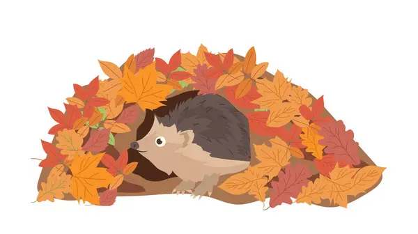 Stock vector Cute hedgehog flat cartoon character living in burrow made from autumn leaves isolated on white background. Funny wild forest animal preparing for winter hibernation childish vector illustration