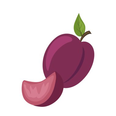 Karikatür olgun mor erik sulu meyve yaz bahçesinden beyaz arka planda izole. Vejetaryen organik doğal vitamin ürünü düz tasarım vektör çizimi. Meyve bahçesi hasadı ve mahsul