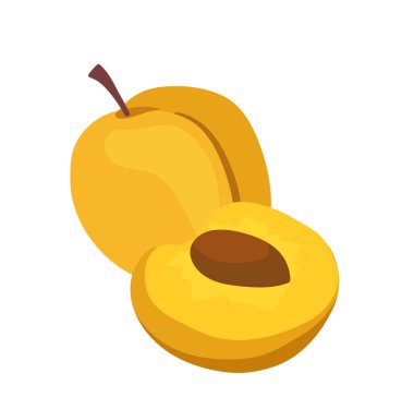 Tatlı sulu kayısı tüm meyve ve beyaz arka planda izole edilmiş tohum çizgi film ikonu tasarımı ile yarım parça. Olgun organik ürün, taze çiftlik yiyeceği ve doğal mutfak malzemesi çizimi.