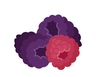 Çizgi film siyah ve kırmızı ahududu yığını beyaz arka planda izole edilmiş doğal yaz bahçesi yemekleri. Reçel, meyve suyu ve hamur işleri vektör illüstrasyonu için böğürtlen karışımı. Tarım ve bahçıvanlık kavramı