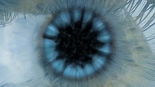 Powiększ Źrenicę Ludzkiego Oka Powiększ Eyeball Koncepcja Świata Wewnętrznego — Wideo stockowe