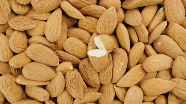 Almond Seeds View Top Heap Peeled Almonds Nuts — Stok video
