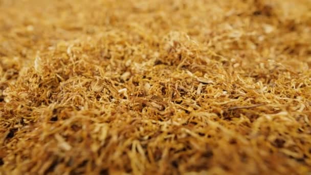 Tobacco Chopped Leaves Drying Process Close Footage — Vídeo de Stock