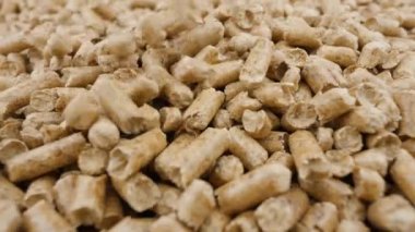 Pellets compressed organic matter or biomass. Ecological heating, renewable energy