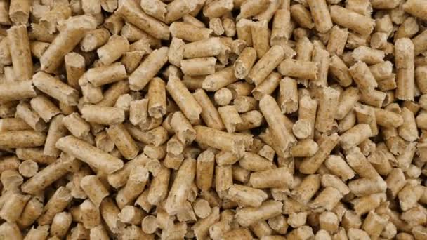 Pellet Fuel Compressed Wood Sawdust Combustible Organic Material — Stok video